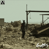 Adventure Post Apocalyptic GIF by Arrow Video