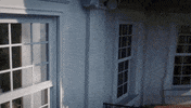 Wentworth Miller Madam President GIF by CBS
