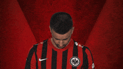 Frankfurt Vbl GIF by Bundesliga