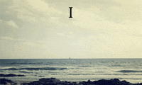 summer love GIF