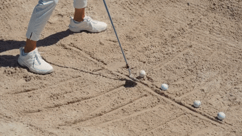 SCPGA giphyupload GIF