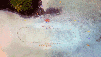 survivorau GIF by Australian Survivor