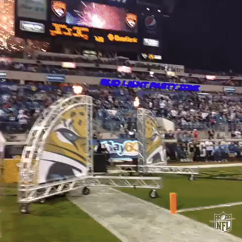 GIF by NFL