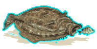 Live Bait Florida Sticker by Put Me Outside