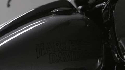 Brand Adventure GIF by Harley-Davidson