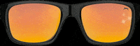 sunglasses spinning GIF by Drukwerkdeal.nl