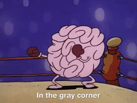 rockos modern life nicksplat GIF