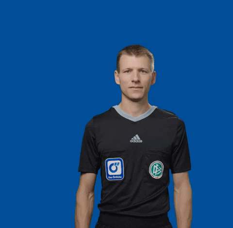 dasoertliche giphyupload soccer bundesliga fussball GIF