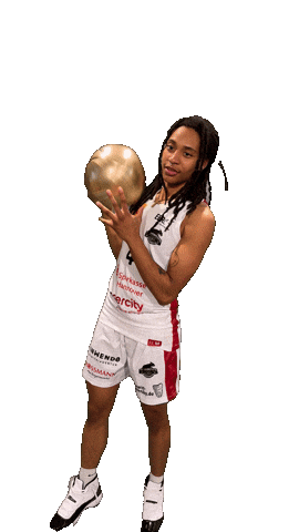 Basketball Yes Sticker by TKH Luchse
