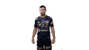 Handball Celebrating Sticker by USDK