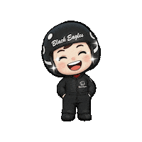 Flight Aviation Sticker