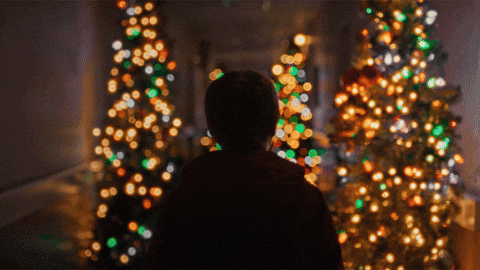 Santa Claus Christmas GIF by STUDIOCANAL
