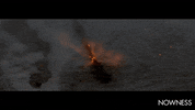 Festival Fireworks GIF by NOWNESS