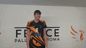 GIF by Fenice Pallavolo Roma