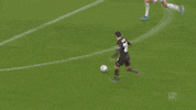 Goal Fcsp GIF by FC St. Pauli