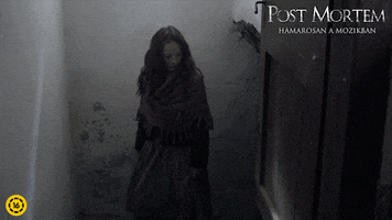 Post Mortem Film GIF by InterCom