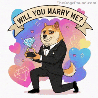 I Love You Hearts GIF by Doge Pound