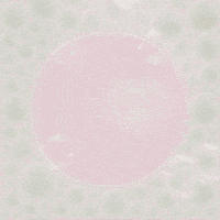 Rubber Duck GIF by TeaCosyFolk