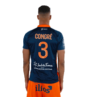 Congre Sticker by MHSC