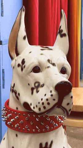 Dog Puppet GIF by Linnea Bullion