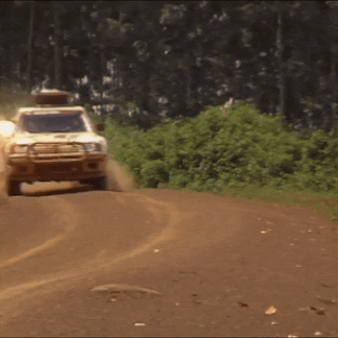 Peugeot GIF by FIA World Rally Championship