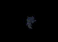 blog ver GIF