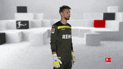 Posing Line Up GIF by Bundesliga