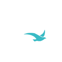 disney viajar Sticker by CREATUR VIAJES