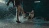Harley Quinn Bop GIF by Birds Of Prey