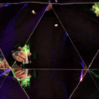 Chris Breen GIF by GIPHY IRL