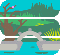 ExploreSeattleSouthside cherry blossoms japanese garden seattle southside curiously wonderful GIF