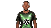 Sport Soccer Sticker by VfL Wolfsburg