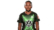 Sport Soccer Sticker by VfL Wolfsburg