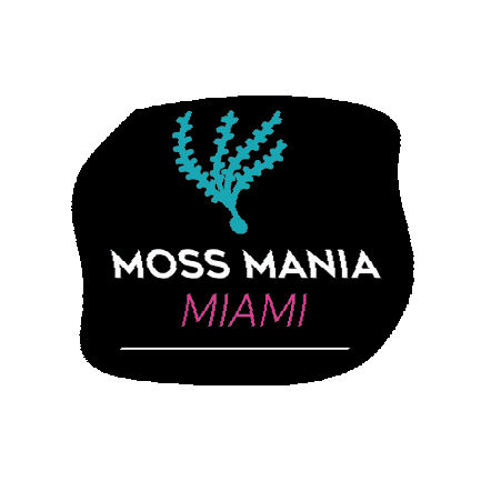 mossmaniamiami giphygifmaker miami moss mossmania Sticker