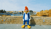 Well Done Celebration GIF by PortAventuraWorld