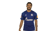 Fc Schalke 04 Yes Sticker by Bundesliga