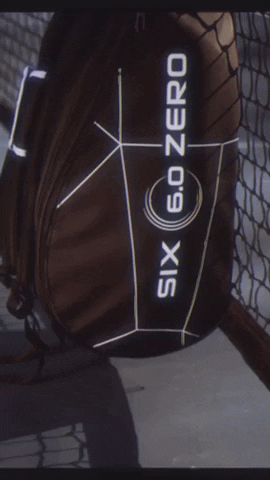 Pickleball GIF