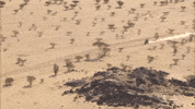 Moto Desert GIF by Amaury Sport Organisation