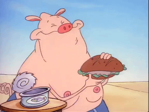 rockos modern life nicksplat GIF