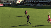 Goal Chip GIF by Cliftonville Football Club