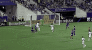 GIF by Philadelphia Union