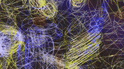 GIF by nettwerkmusic