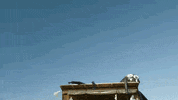 friends halloween GIF by CraveTV