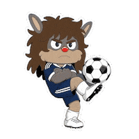 World Cup Football Sticker