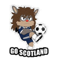 World Cup Football Sticker