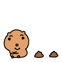 Quokka Sticker