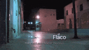 el paso mexico GIF by Krisstian