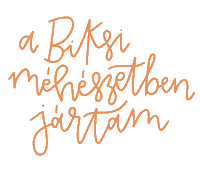 biksimeheszet tea meh mez gyertya Sticker