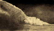 wave ocean GIF by Manshen Lo