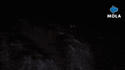 James Bond Movie GIF by MolaTV